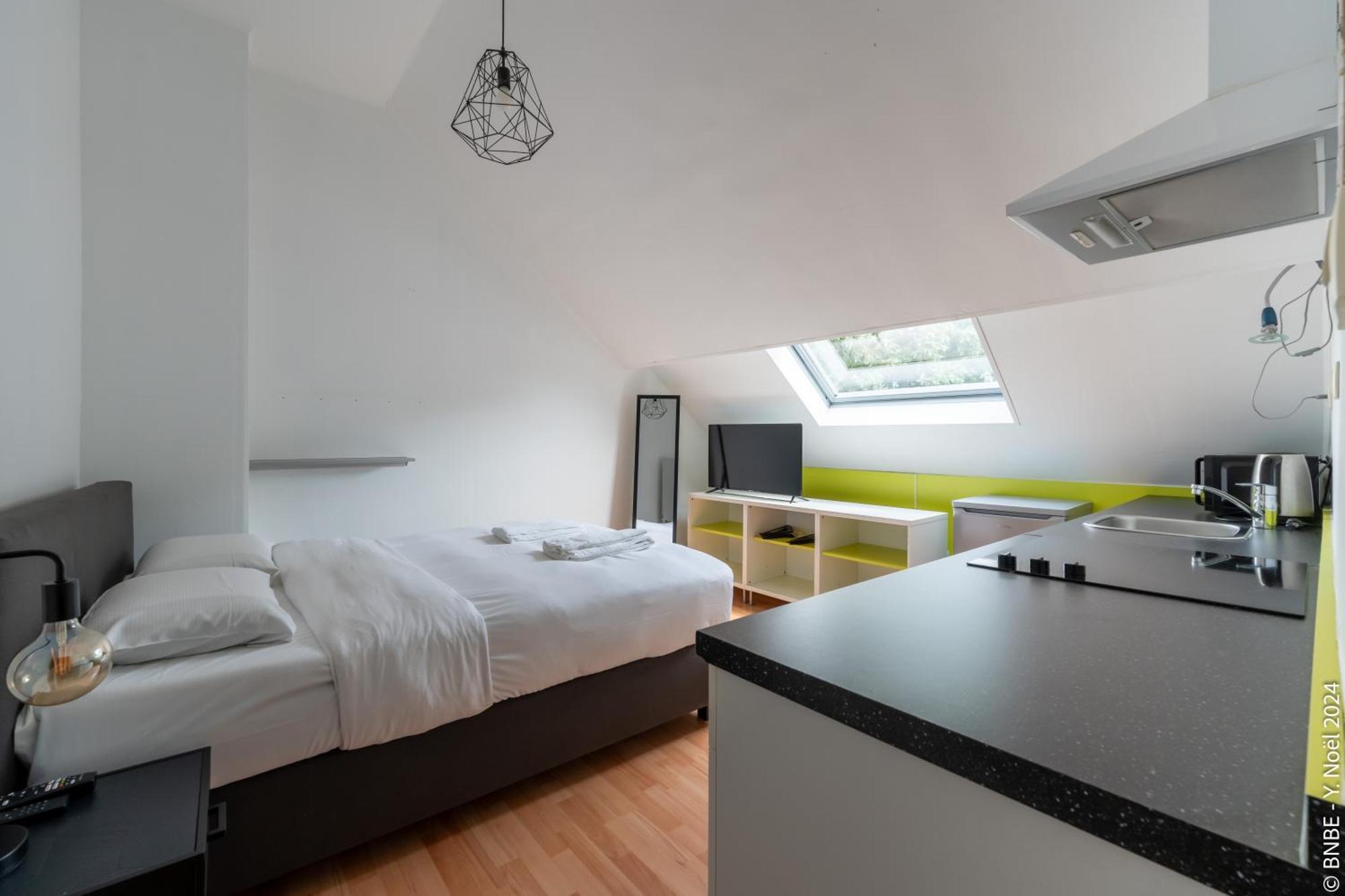 La Louve - Big Place & Garden - Parking Gratuit * Bruselas